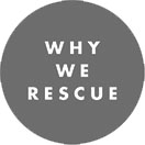 Why We Rescue